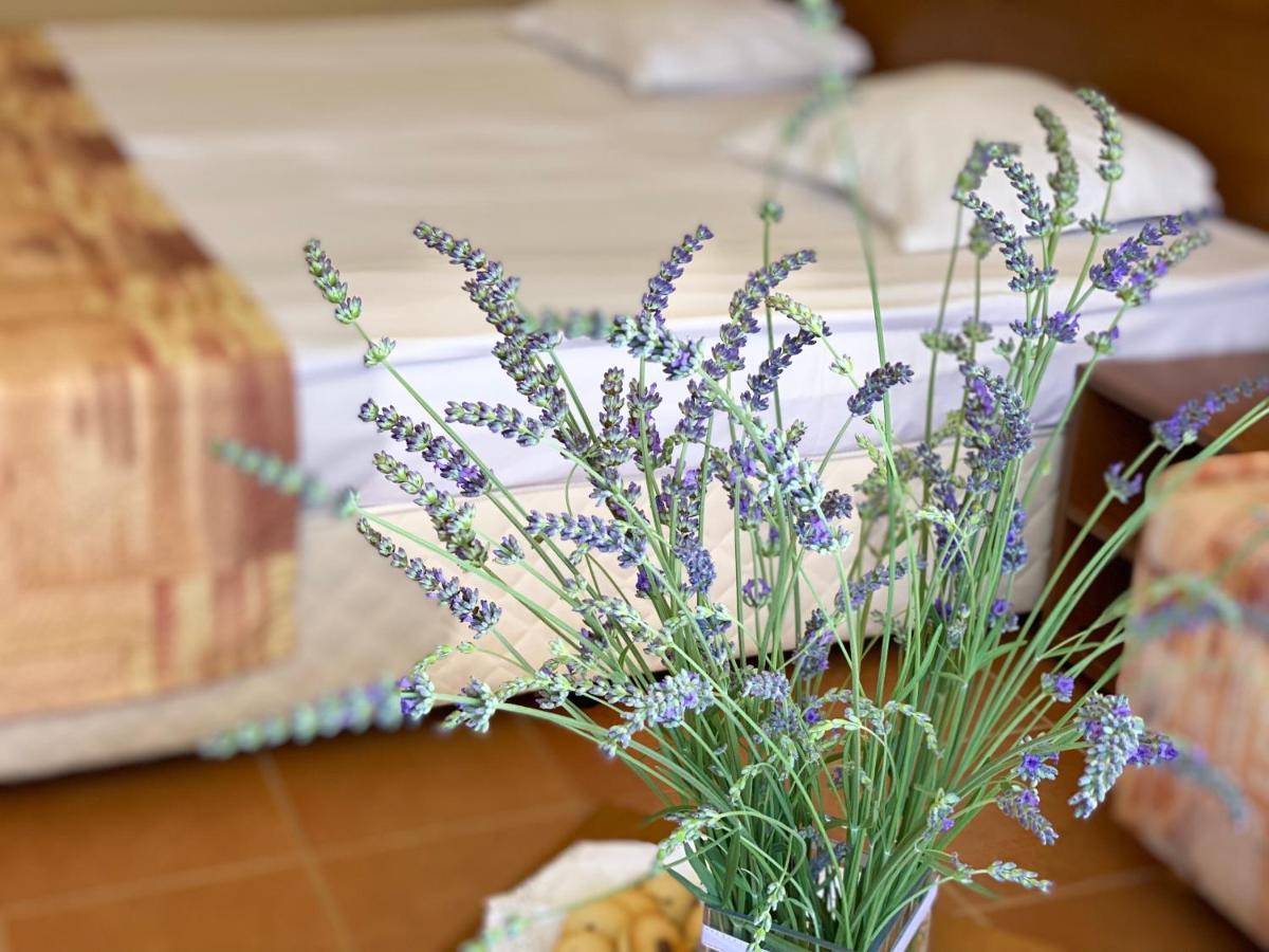 Hotel Plamena Palace Primorsko Bagian luar foto