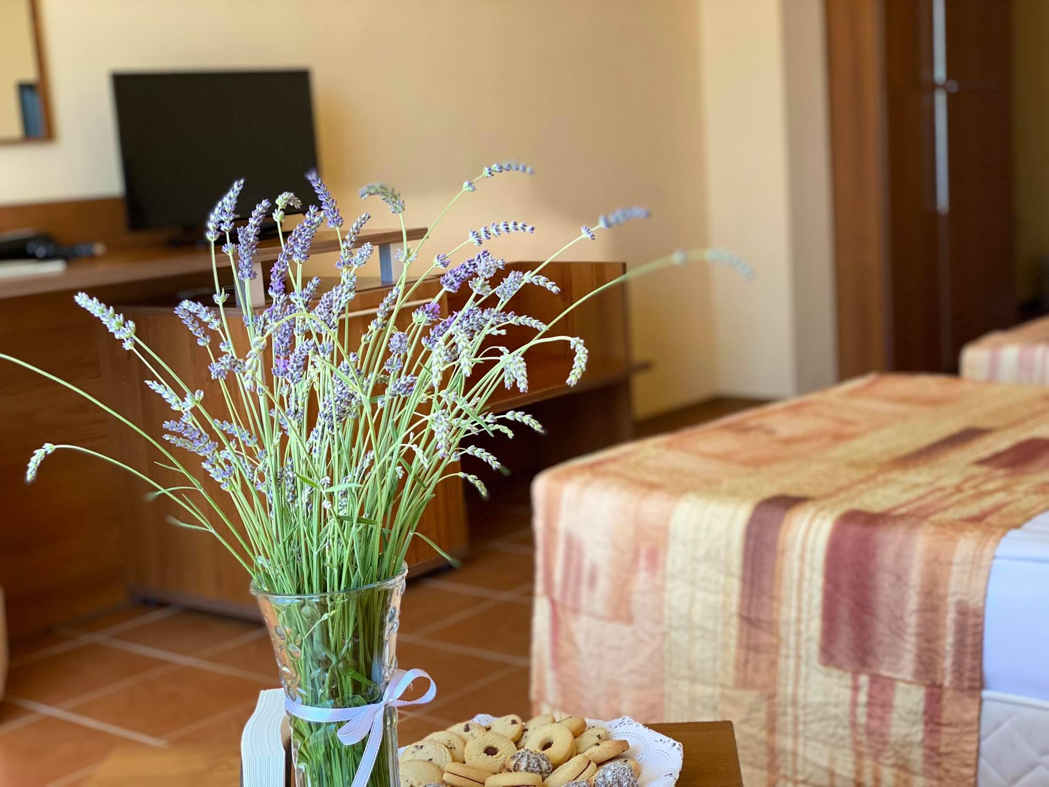 Hotel Plamena Palace Primorsko Bagian luar foto
